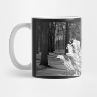 Light and Dark Mug